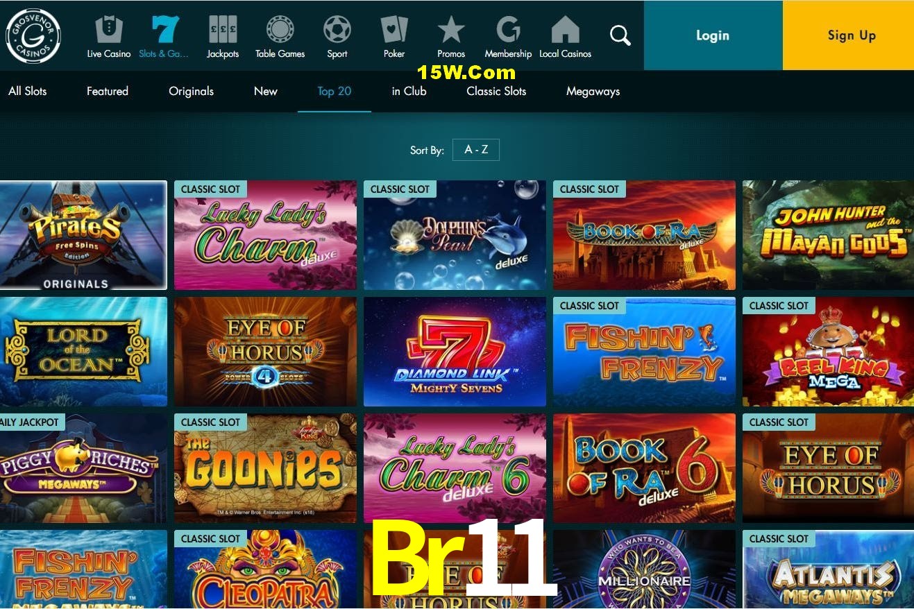 Casino VIP Br11