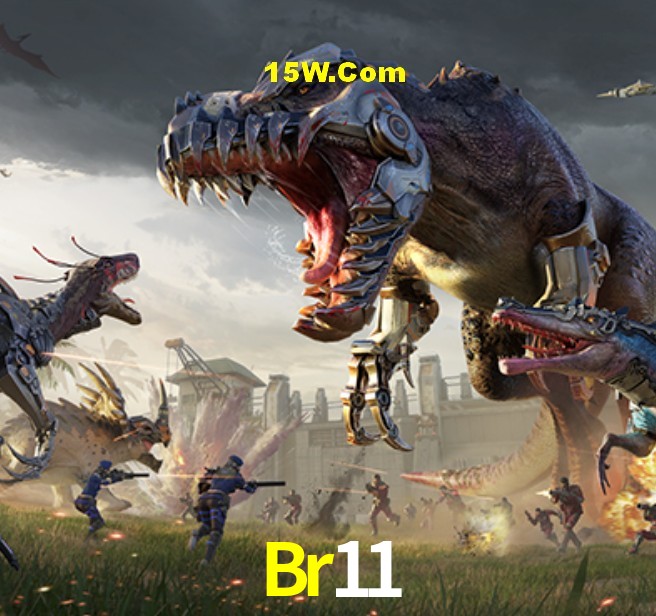 Provedores de Jogos Br11